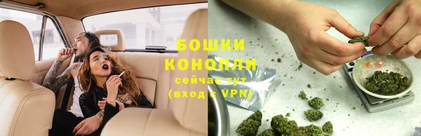 шишки Верхний Тагил