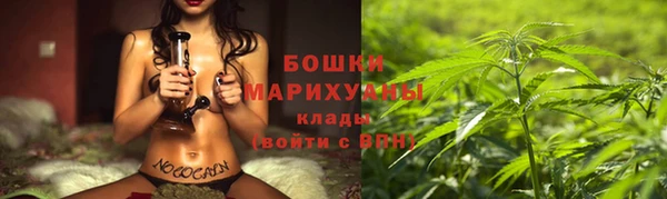 шишки Верхний Тагил