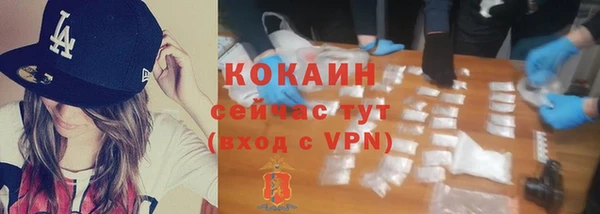шишки Верхний Тагил