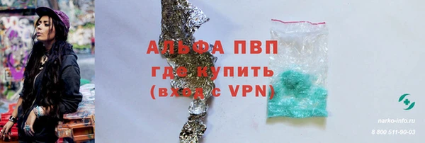 шишки Верхний Тагил