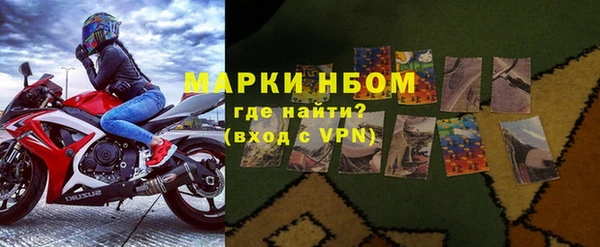 шишки Верхний Тагил