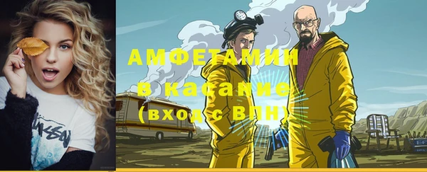 шишки Верхний Тагил