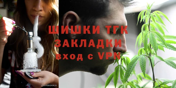 шишки Верхний Тагил